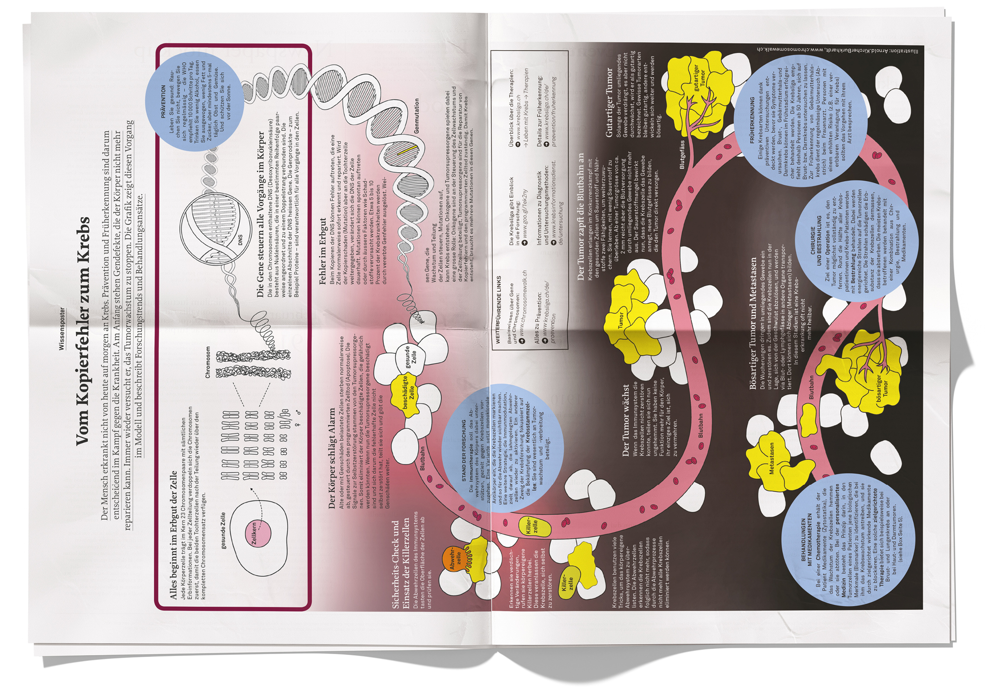 Helsana-Senso-Infographics